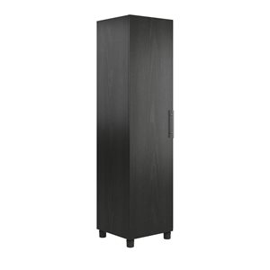 Systembuild Evolution Camberly 24-in Wood Composite Freestanding Storage Cabinet in Black Oak