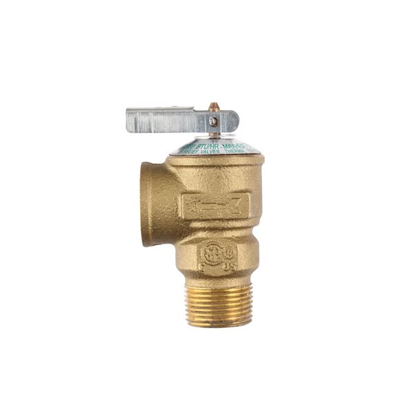 Paragon Pro-temp Plus Series 3/4 po Universal Brass Water Heater Isolation Valve Service Kit