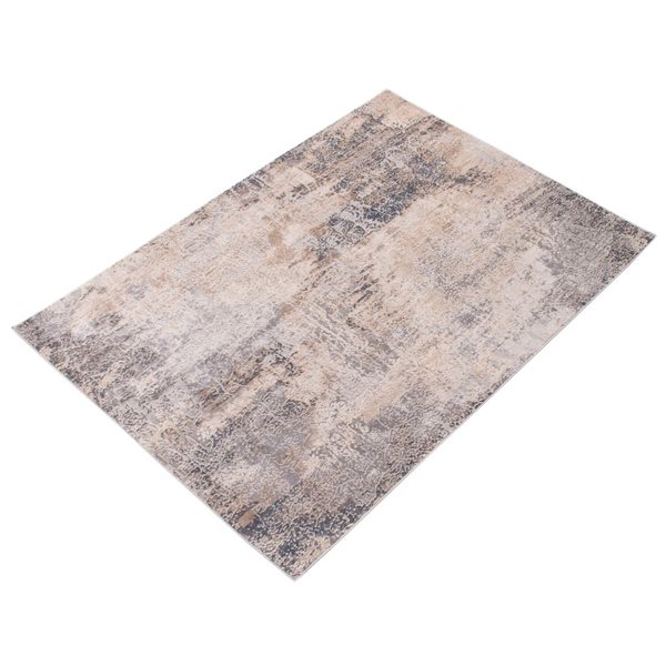 ECARPET Phoenix 6.5-ft x 9.5-ft Grey Rectangular Area rug