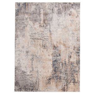 Tapis Phoenix par ECARPET rectangulaire gris de 6,5 pi x 9,5 pi