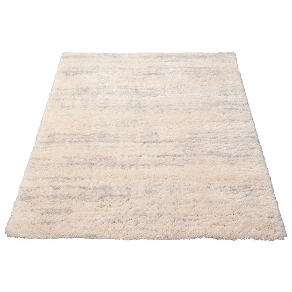 Tapis Sia par ECARPET rectangulaire crème et gris pâle de 4 pi x 5,5 pi