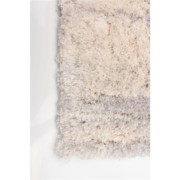 Tapis Sia par ECARPET rectangulaire crème et gris pâle de 4 pi x 5,5 pi