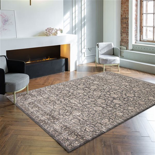 ECARPET Olivia 5.25-ft x 7.25-ft Grey Rectangular Area rug