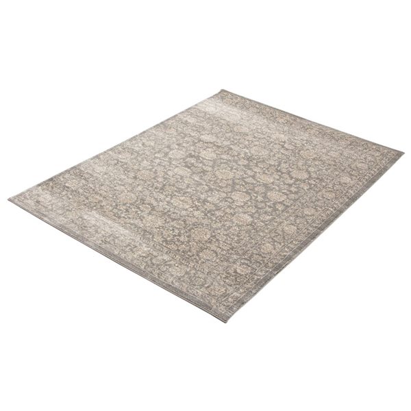 ECARPET Olivia 5.25-ft x 7.25-ft Grey Rectangular Area rug