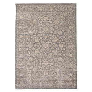 ECARPET Olivia 5.25-ft x 7.25-ft Grey Rectangular Area rug