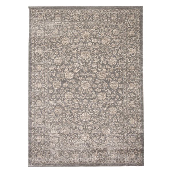 Tapis Olivia par ECARPET rectangulaire gris de 5,25 pi x 7,25 pi