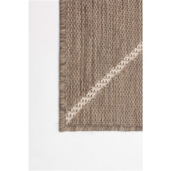 ECARPET Sisal Abstract 8-ft x 10-ft Taupe and Champagne Rectangular Area rug