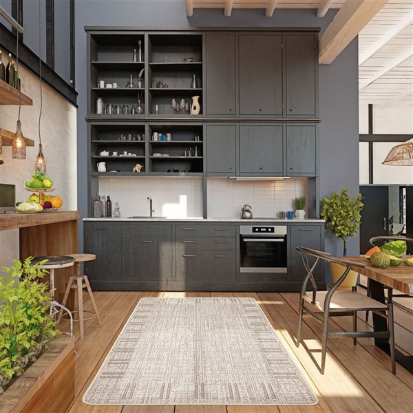 ECARPET Solea 3.25-ft x 4.5-ft Ivory Rectangular Area rug