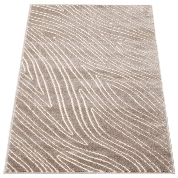 ECARPET Vector 2.75-ft x 5-ft Taupe Rectangular Area rug