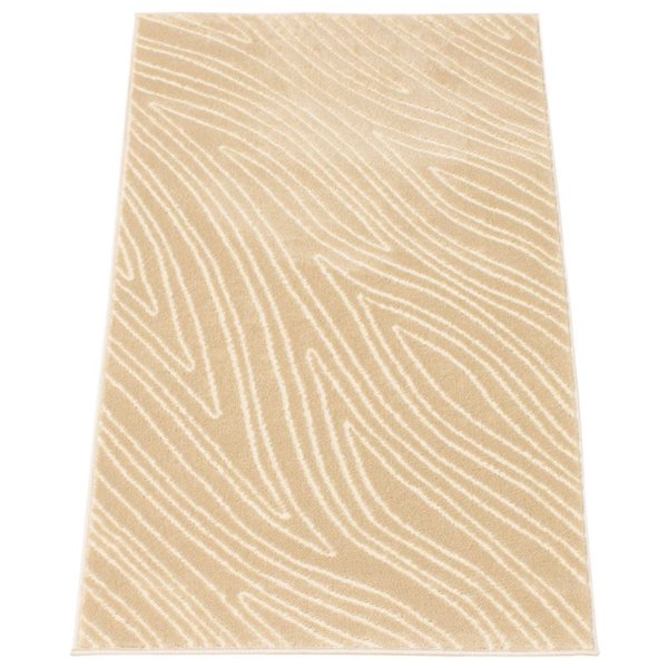 ECARPET Vector 2.75-ft x 5-ft Ivory Rectangular Area rug