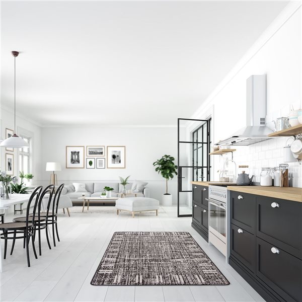 ECARPET Solea 3.25-ft x 4.5-ft Black Rectangular Area rug