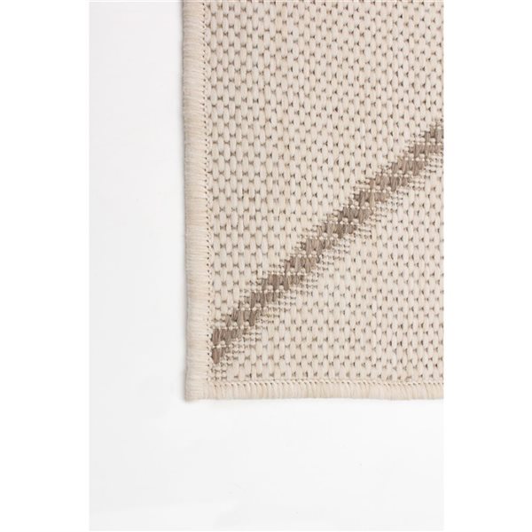 ECARPET Sisal Abstract 8-ft x 10-ft Champagne and Taupe Rectangular Area rug