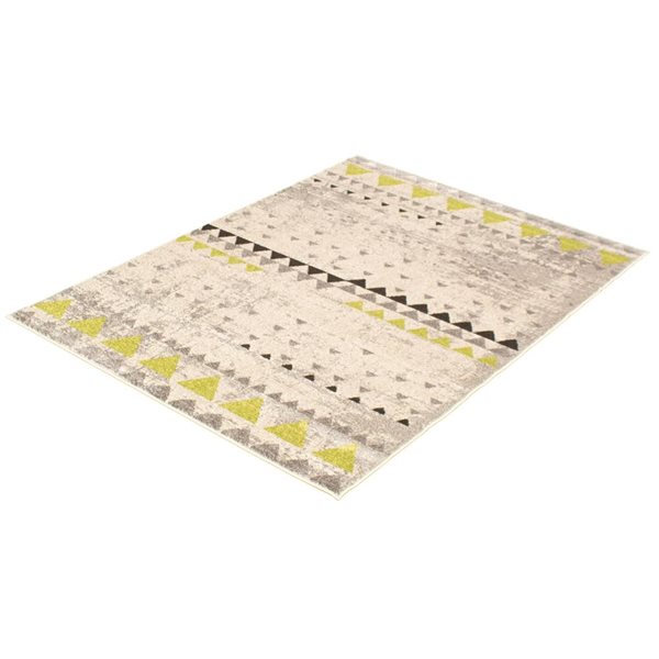 ECARPET Remi 8-ft x 10-ft Ivory and Green Rectangular Area rug