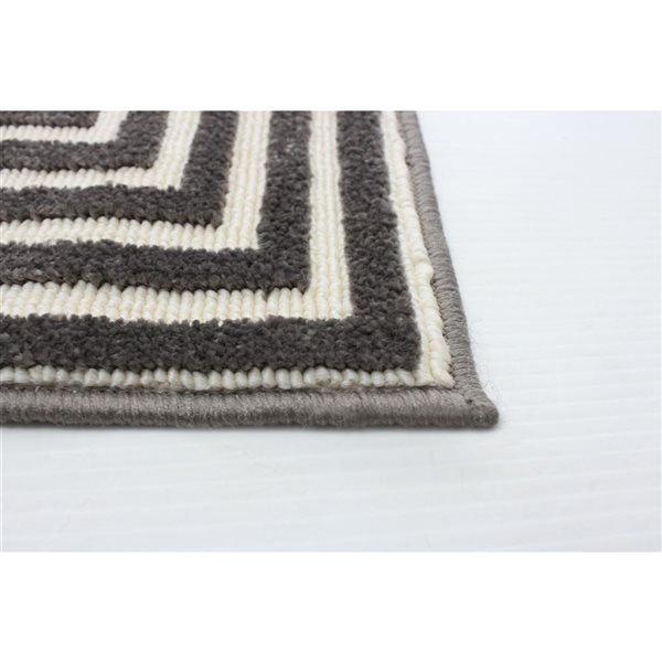 ECARPET Trona 2.75-ft x 5-ft Grey Rectangular Area rug