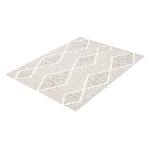 ECARPET Specter 5-ft x 7-ft Grey Rectangular Area rug