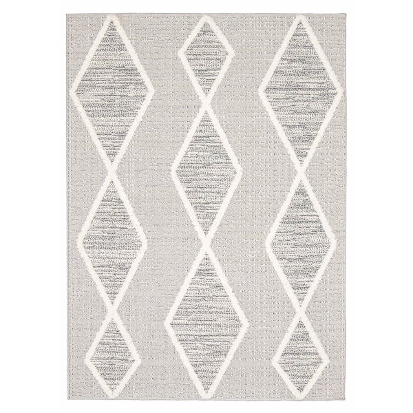 ECARPET Specter 5-ft x 7-ft Grey Rectangular Area rug