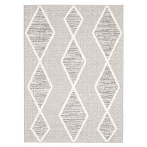 ECARPET Specter 5-ft x 7-ft Grey Rectangular Area rug