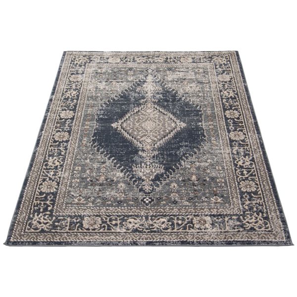 Tapis Oregon Bijar par ECARPET rectangulaire bleu et gris de 6,5 pi x 9,5 pi