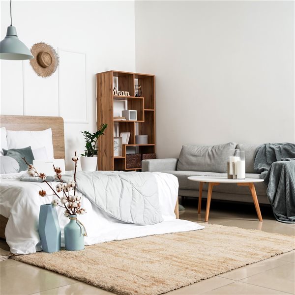 ECARPET Sia 6.5-ft x 9.5-ft Cream Rectangular Area rug