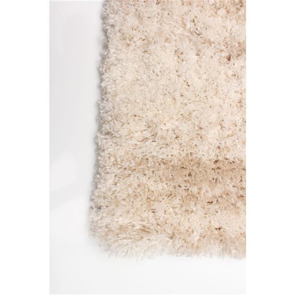 ECARPET Sia 6.5-ft x 9.5-ft Cream Rectangular Area rug