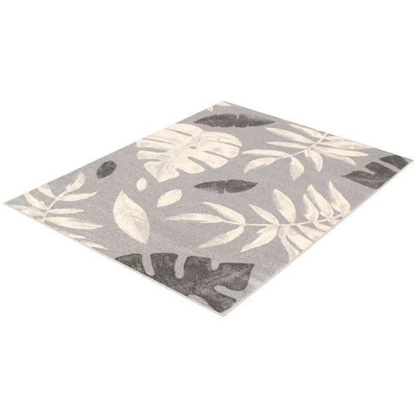 Tapis Presly par ECARPET rectangulaire argent et anthracite de 5,25 pi x 7,25 pi