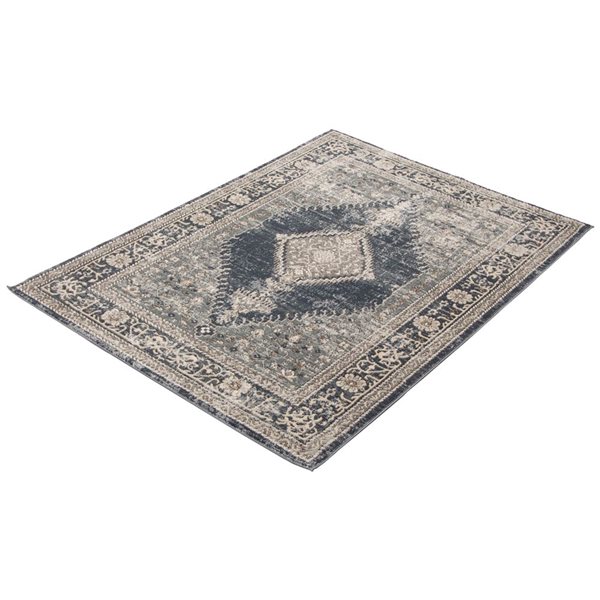 ECARPET Oregon Bijar 4-ft x 6-ft Blue and Grey Rectangular Area rug