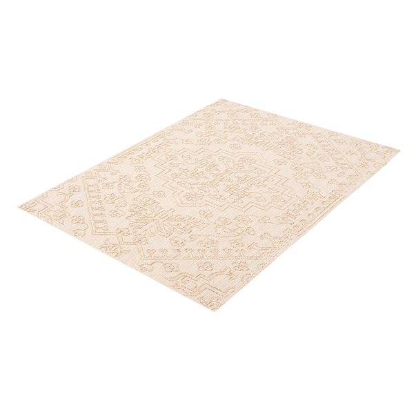 ECARPET Umbra 5-ft x 7-ft Taupe Rectangular Area rug