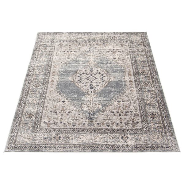 Tapis Oregon Bijar par ECARPET rectangulaire beige foncé et gris de 4 pi x 6 pi