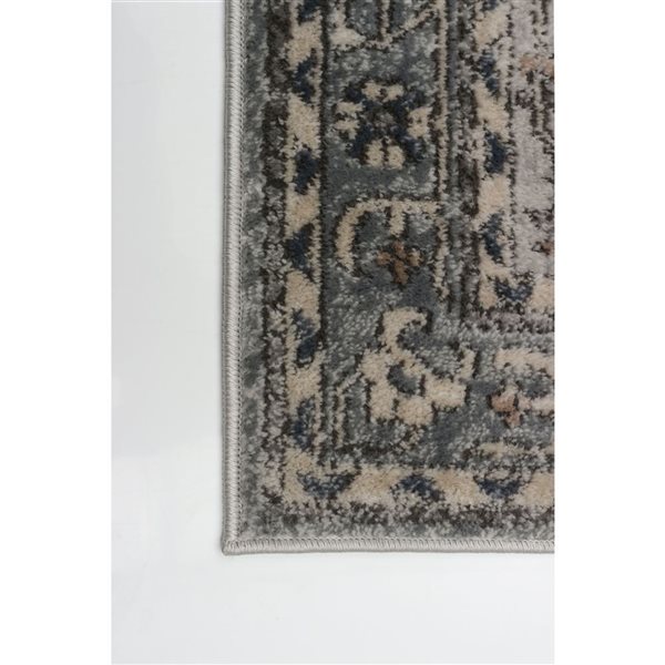 Tapis de passage Oregon Bijar par ECARPET rectangulaire beige foncé et gris de 2,5 pi x 8 pi