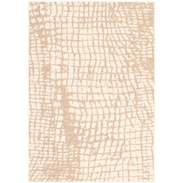 ECARPET Sisal Safari 5.25-ft x 7.5-ft Champagne and Taupe Rectangular Area rug