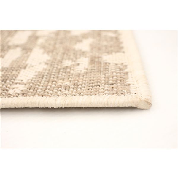 ECARPET Sisal Safari 8-ft x 10-ft Champagne and Taupe Rectangular Area rug