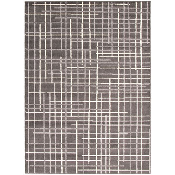 Tapis Tessa par ECARPET rectangulaire anthracite de 8 pi x 10 pi