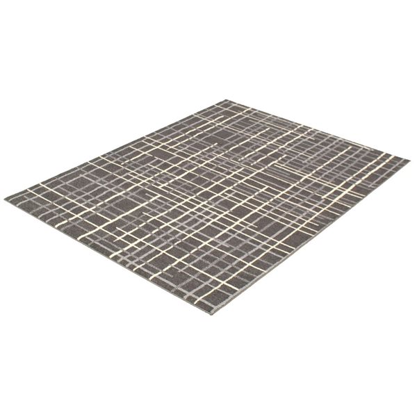 ECARPET Tessa 4-ft x 5.5-ft Anthracite Rectangular Area rug