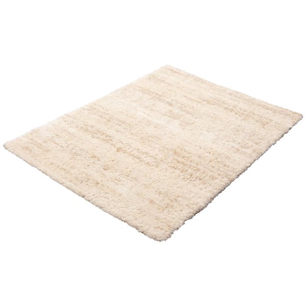 ECARPET Sia 4-ft x 5.5-ft Cream Rectangular Area rug