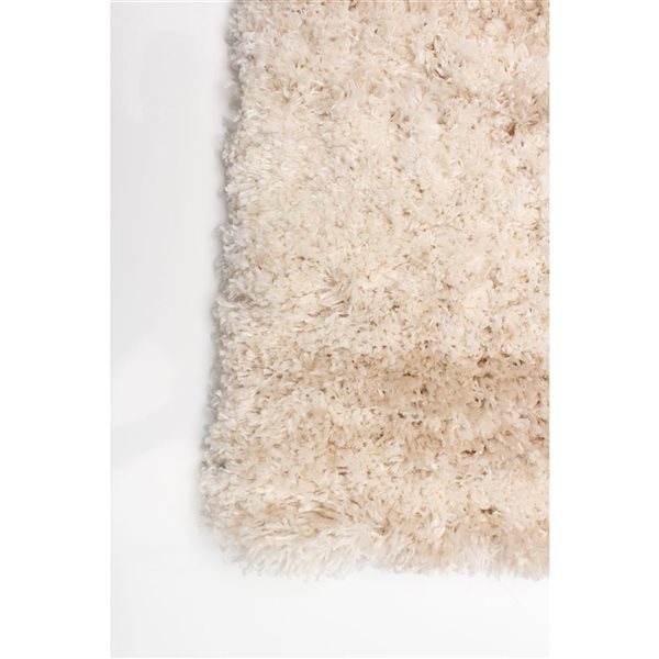 ECARPET Sia 4-ft x 5.5-ft Cream Rectangular Area rug