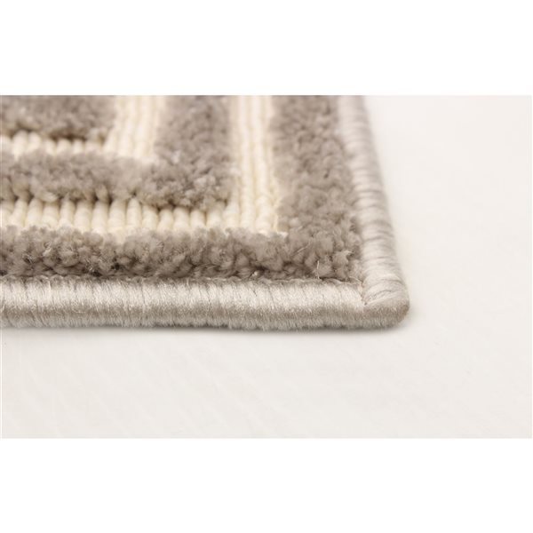 Tapis Trona par ECARPET rectangulaire taupe de 2,75 pi x 5 pi