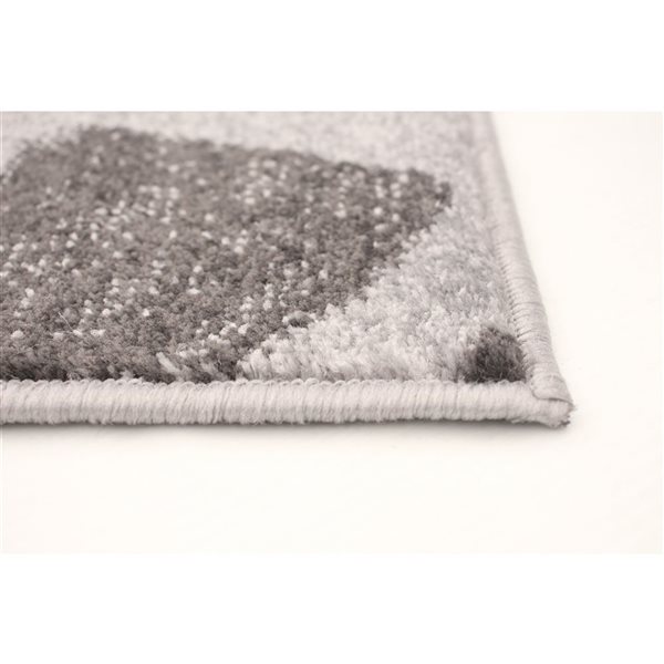 ECARPET Presly 4-ft x 5.5-ft Silver and Anthracite Rectangular Area rug