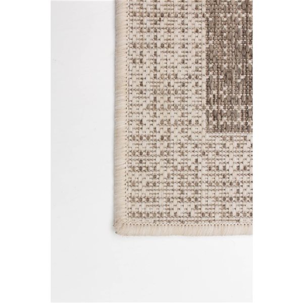 ECARPET Sisal Classic 4-ft x 5.5-ft Taupe and Champagne Rectangular Area rug