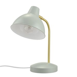 Globe Electric Willow 15-in Matte Sage Green Desk Lamp With Metal Shade