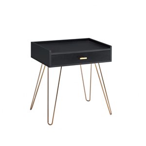 HomeRoots 24-in Gold and Black Modern Rectangular End Table with Drawer