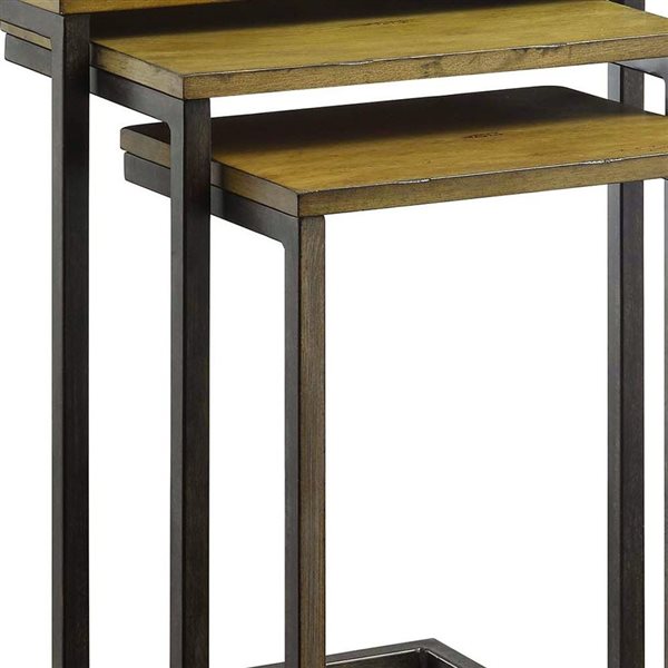 HomeRoots 24-in Gold Glass Rectangular End Table