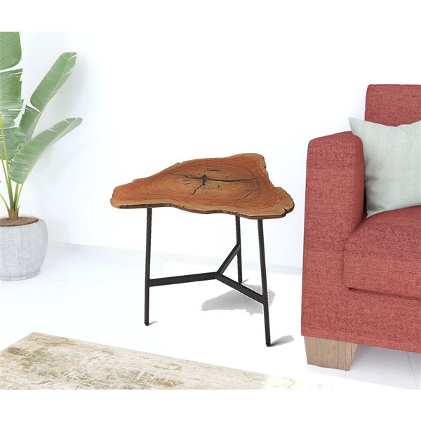 HomeRoots 19-in Black and Natural Brown Solid Wood Free Form End Table