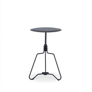 HomeRoots 25-in Sandy Black and Espresso Veneer and Metal Round End Table