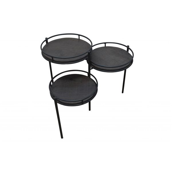 HomeRoots 23-in Black Solid Wood and Iron Round End Table