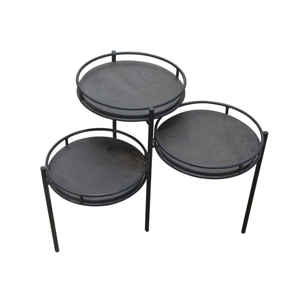 HomeRoots 23-in Black Solid Wood and Iron Round End Table