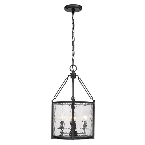 Z-Lite Matte Black Barrington 4-Light Pendant