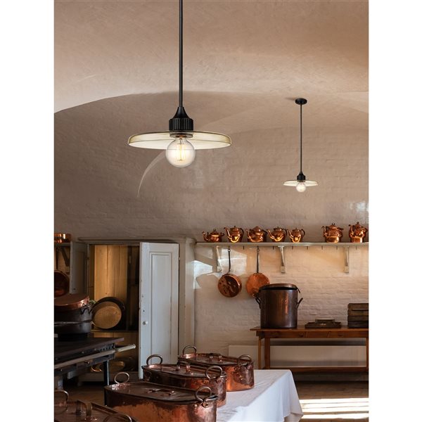 Z-Lite Matte Black Paloma 1-Light Pendant