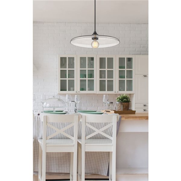 Z-Lite Matte Black Paloma 1-Light Pendant