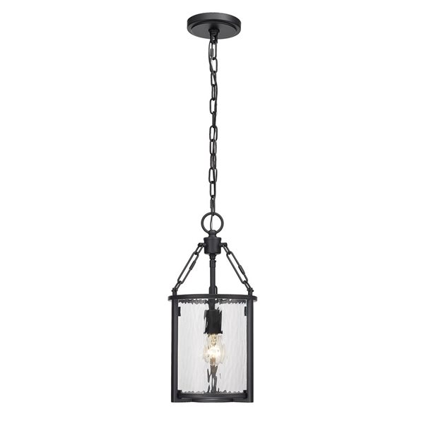 Z-Lite Matte Black Barrington 1-Light Pendant