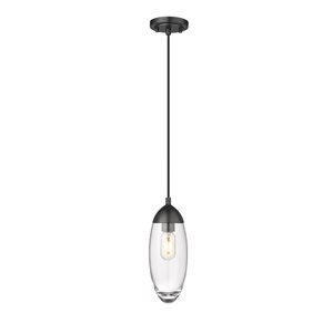 Z-Lite Matte Black Arden 1-Light Pendant